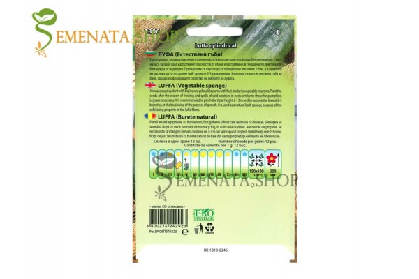 Семена от Луфа (Luffa cylindrica) - естесвена гъба за баня Семена от Луфа (Luffa cylindrica) - естесвена гъба за баня
